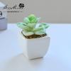 Suculenta Pequeño Bonsái Cerámica Muebles para el Hogar Decoración Fabricante de Jinhua Plantas Verdes Aliexpress Flor Artificial Plantas en Maceta