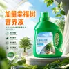 Solução nutritiva concentrada para Árvore da Felicidade plantas verdes fabricante de fertilizante orgânico fertilizante orgânico fertilizante foliar em estoque
