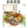 En Stock Transfronterizo Modelo Nuevo Marco de Hierro Cesta Colgante de Palma de Coco Decoración Violeta Forma Redonda de Primavera Fabricante Amazon Dropshipping