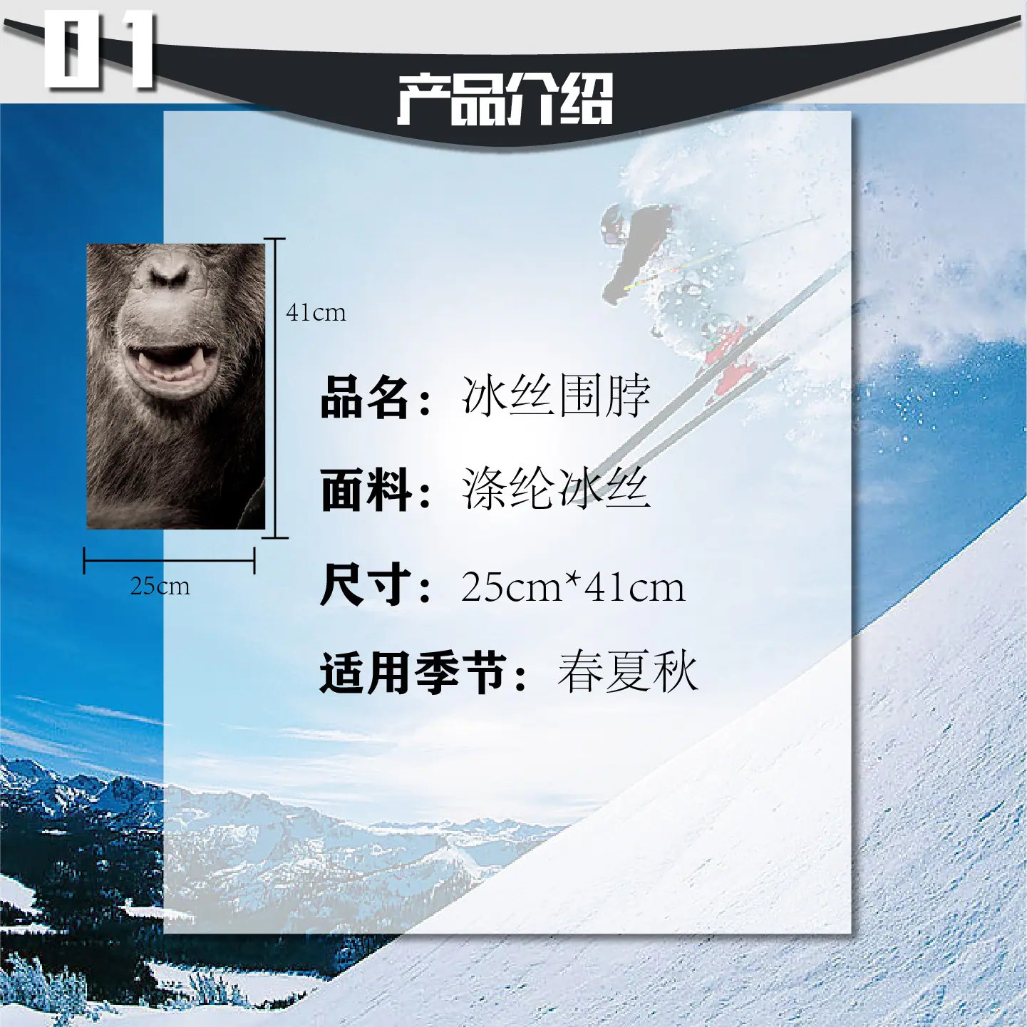 动物-03