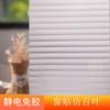 Película para Vidrio de Ventana Esmerilado para Baño, Película Electrostática para Vidrio No Transparente, Changhong Sin Adhesivo