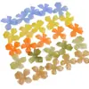Zhen Tu Acrílico Degradado Color Gelatina Irregular Flor de Cuatro Pétalos 3D DIY Hecho a Mano Pasador Accesorio para el Cabello Decoración de Zapatos Funda de Teléfono