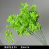 Plantas Verdes, Hierba de Junco, Hierba Bigote de Dragón, Fondo de Boda, Paisajismo de Ventana Floral, Flores Decorativas para Boda en Bosque Blanco y Verde