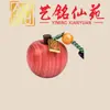 Colgante de Borla de Fresa y Manzana de Madera Arcoíris Yiming Xianyuan Talla en Madera Maciza Rosa Totoro Caballo Llavero Adorno