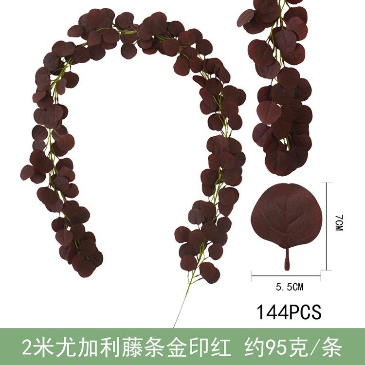 2米尤加利藤条-金印红.jpg
