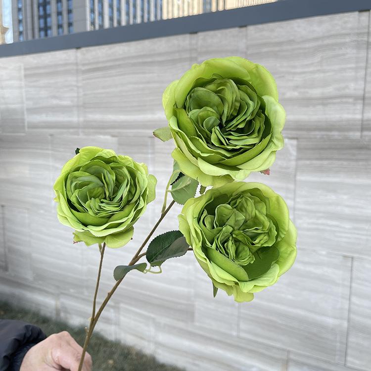3头奥斯丁玫瑰 -绿色-3.8.JPG