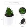 Más de 100 Tipos de Combinaciones de Plantas Suculentas Mini de Plástico Simuladas en Maceta, Mini Bonsáis Suculentos Más Vendidos Transfronterizos, Decoración para el Hogar, Adornos Creativos