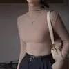 Camiseta Básica de Cuello Alto Imitación Lana Engrosada Otoño e Invierno para Mujer, Ropa Interior Sencilla y de Gama Alta, Camiseta Elegante de Manga Larga Ajustada
