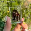Espécime de borboleta real espécime de inseto cola de cristal resina transparente ornamentos pequenos criativos jardim de infância atrações turísticas venda quente
