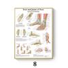 Anatomia humana músculo arte poster mapa corporal tela pintura Imagem Ciência Medicina quarto pintura decorativa núcleo
