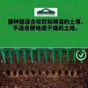 Perfurador de buracos para semeadura de solo, perfurador rápido de solo, ferramenta de espaçamento de sementes para jardinagem, ferramenta de semeadura e afrouxamento de solo para plantas de hortaliças
