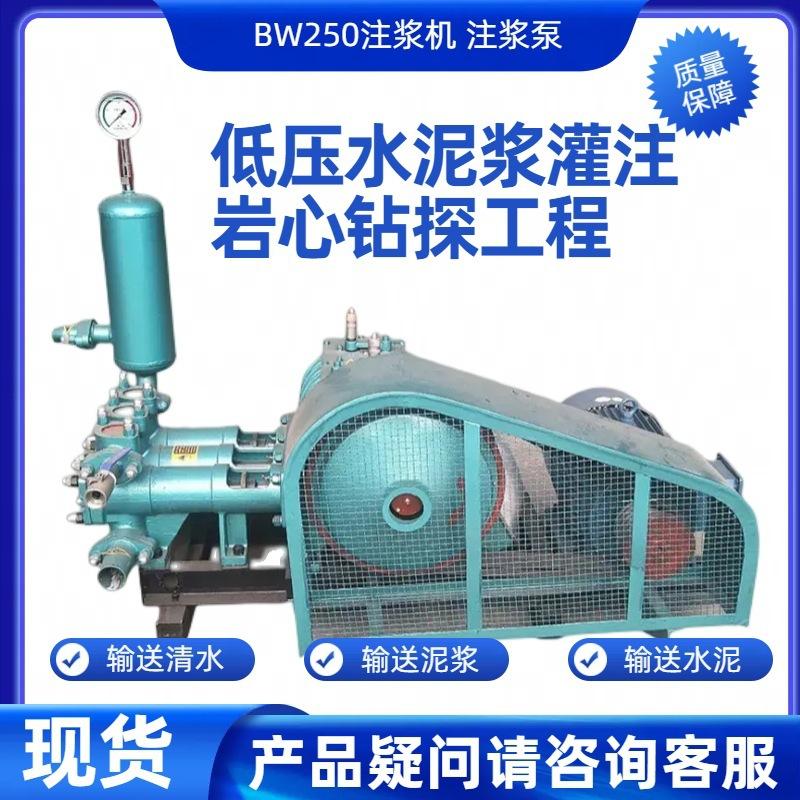 BW250-1