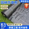 Tela Anti-Hierba para Huertos y Frutales, Transpirable, Permeable al Agua, Tela Duradera para Cubrir el Suelo, Nueva Tela Ecológica Anti-Hierba, Tela para Control de Malezas