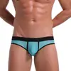 Ropa interior sexy para hombre de talla europea, tanga triangular sexy de malla transparente sin espalda, tanga doble para hombre