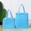 Bolsa Térmica para Llevar Hot Pot Bolsa Térmica para Pasteles Gran Capacidad Papel de Aluminio Recubierto Bolsa de Hombro para Llevar Barbacoa Bolsa para Mantener Fresco