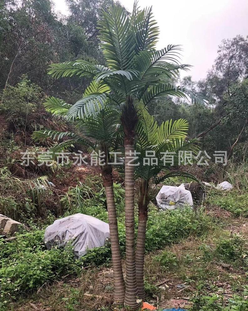 edb12438b5ed9d9becf9a835216a59