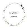 Colar Europeu e Americano Feminino Simples Retro Moda Corrente de Pescoço Pclip Corrente de Lã Aço Titânio Metal Aço Inoxidável Clavícula Colar