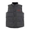 Gilet de Inverno Moose para Homens/Mulheres, Colete Acolchoado, Aquecedor Corporal