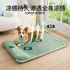 Tapete de Verão, Almofada Fofa, Cama para Cachorro Dormir, Tapete Refrescante para Dormir para Todas as Estações, Tapete Refrescante para Cachorro, Cama para Gato, Cama para Pet