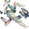 Pez Luchador de Siam fácil de criar Pez Gourami Gigante pez ornamental pez de agua fría alevines cambiar agua no necesita fuego australiano otro
