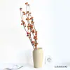 Novo Produto da Rhapsody "Abóbora Pequena" Flor Natural Galho de Fruta Buquê de Flores Secas Decoração Criativa para Casa Móveis