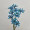Sementes de Melão com Flores Secas de Yunnan, Flores Frescas Feitas à Mão, Flores Reais para Decoração de Casa, Adereços de Fotografia, Atacado