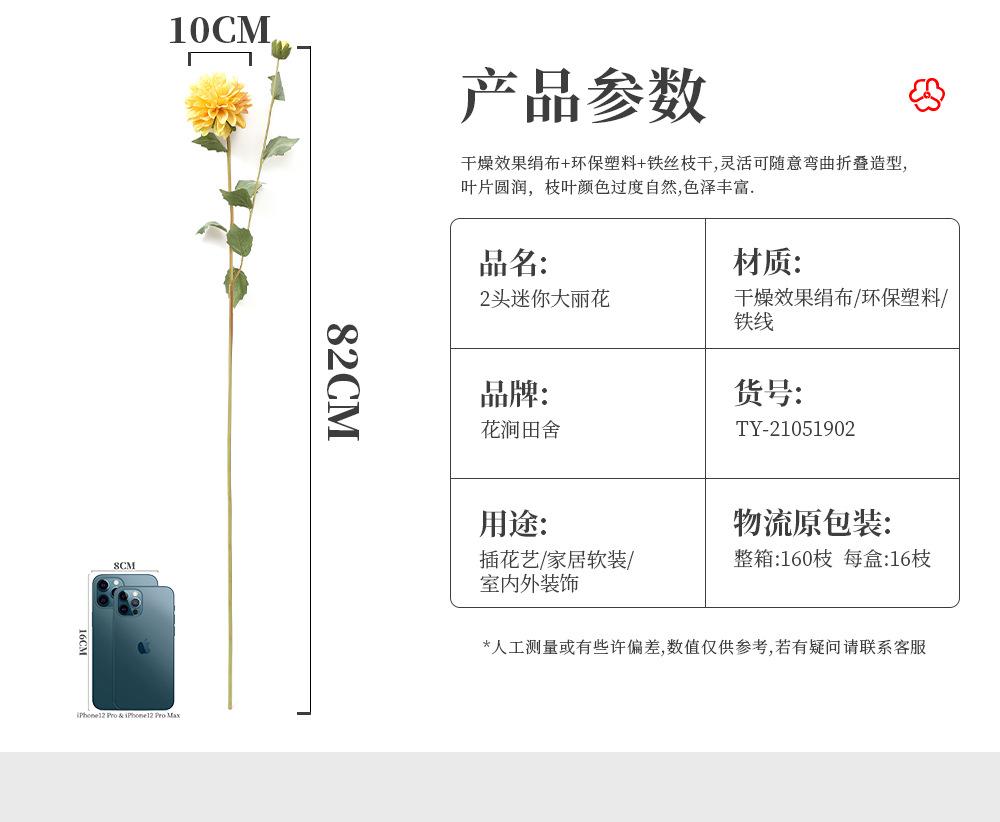 2头迷你大丽花_02.jpg