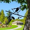 JSTY009 Jardín de pájaros transfronterizo de hierro forjado enchufable de metal para jardín al aire libre, decoración de hierro forjado para el hogar, enchufable