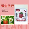 Semillas en Maceta de Planta Enlatada Mini Verdura Fruta Flor Caja Sorpresa Día del Niño Lata Regalo Pequeño Personalizado