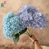 5 Buquês de Hortênsias Revestidas, Hortênsias de Borda Enrolada, Arranjos Florais Frescos para Decoração de Casamento ao Ar Livre, Flores de Seda, Buquê de Noiva