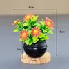 Atacado Transfronteiriço Romântico Margarida Envasada Ornamentos Simulado Girassol Pequeno Pequeno Bonsai Foto Fotografia Adereços Decorativos