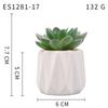 Planta Suculenta Simulada Macetas, Decoración de Muebles de Oficina Nórdicos, Nuevas Suculentas Bonsái Simuladas de Alta Calidad para el Hogar