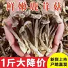 Hongo de asta de venado seco con envío gratis, grado no premium, especialidad de Yunnan, hongo crujiente para sopa, hongo shiitake