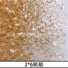 Accesorios para Arte de Uñas LZ Mismo Arte de Uñas Taladro Plano con Forma Aurora Champagne Polarizado Transparente Taladro Plano Decoración de Uñas Taladro