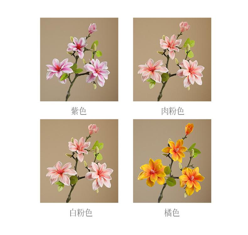 娜拉小西湖玉兰_04.jpg