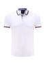 Camisa Polo Publicitaria de Negocios de Fábrica en Grupo Personalización-Algodón Xinlan Borde de Color Cuadros Pequeños Cuello Blanco Manga Corta Solapa