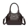 Bolso Bandolera Transfronterizo para Mujer, Estilo Nuevo, Gama Alta, Bolso de Hombro de Nicho para Viajes Diarios, Simple y Elegante, Bolso de Mano para Madres de Mediana Edad