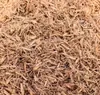 Material de tapete para répteis Zoomed superfície de floresta para geckos, tartarugas, cobras, lagartos, anfíbios, material de tapete de imitação de floresta tropical atacado