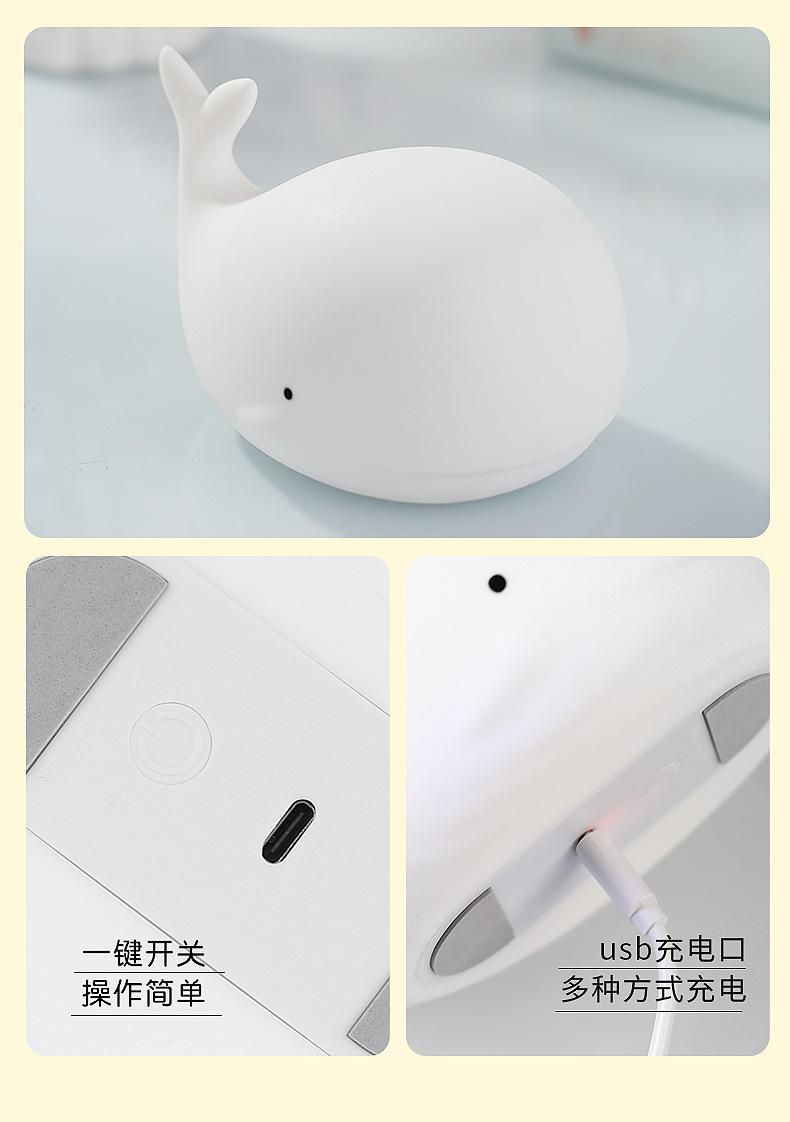 海豚_14