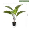 Plantas Artificiais Estilo Nórdico em Estoque para Atacado, Planta Artificial de Taro Torto, Plantas Verdes Falsas para Paisagismo, Plantas em Vasos para Decoração de Piso Interno para Sala de Estar