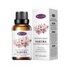 Aromaterapia solúvel em água transfronteiriça 30ml quarto lavanda planta incenso umidificador solúvel em água óleo essencial atacado