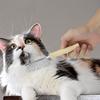 Peine para Gato Mayorista Transfronterizo Mango de Madera Peine de una Sola Fila Peine de Doble Fila Peine de Dientes Altos y Bajos Peinado y Suavizado de Gato