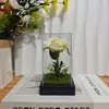 Cúpula de Vidro com Flor Eterna Transfronteiriça Rosa Luz Led 520 Presente de Dia dos Namorados para Namorada Luz Noturna Atmosférica Decorativa
