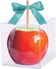 Gran stock mascotas plástico helado pastel transparente empaque macaron galletas caja helado impreso LOGOTIPO