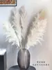 Pinha Flores Secas Artesanais Adereços de Fotografia Materiais Florais DIY Decorações para Sala de Estar Presentes de Natal