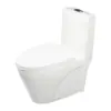 Vaso Sanitário Comum Anti-Odor e Anti-Entupimento Cerâmica Descarga Vaso Sanitário Hotel Apartamento Vaso Sanitário Doméstico Suporte Engenharia Pedido