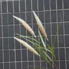 Grama de rabo de cachorro artificial, flores de junco de três cabeças, caules de arroz e trigo, flores secas para vitrine de sala de estar e arranjos florais