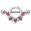 Anel de mamilo popular de aço inoxidável transfronteiriço, piercing de corpo humano 14g, variedade de anéis de mamilo, Nail Borboleta, fivela de leite, rosa