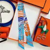 Lenço de Seda Pequeno em Sarja Hermes Versátil para Envolver Bolsas, Fita Longa Estreita de Seda para Amarrar Bolsas, Amarrar o Cabelo, Amarração, Gravata de Seda e Amarrar Alças
