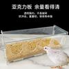 Alimentador Automático de Pollo Rutin Estante de Alimentación Comedero para Loro Ave Xuanfeng Caja de Alimentación Tazón de Comida Suministros para Aves